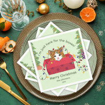 Cute Cat in a Box Here for the Boxes Christmas