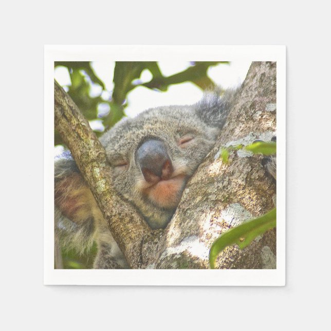 Guardanapo De Papel Cute Koala Bear Napkins (Frente)