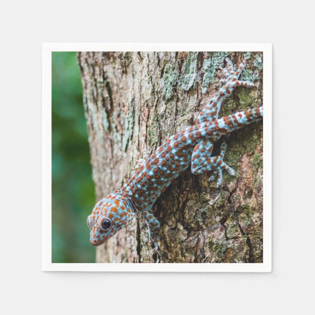 Guardanapo De Papel Cute Tokay Gecko Lizard (Frente)