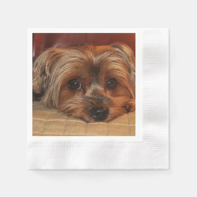 Guardanapo De Papel Cute Yorkshire Terrier Puppy Dog (Frente)