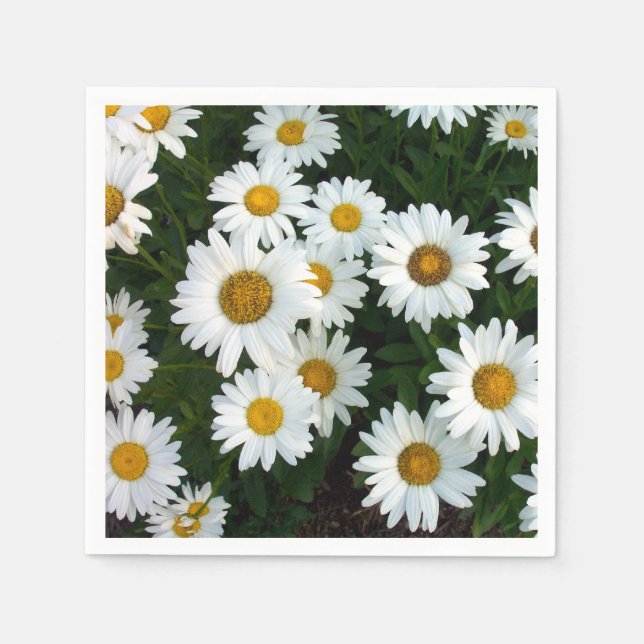 Guardanapo De Papel Daisy Delight Napkins (Papel) (Frente)