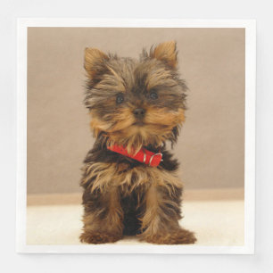Guardanapo De Papel De Jantar Cute Yorkshire Terrier