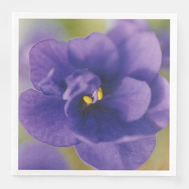 Guardanapo De Papel De Jantar Flor Azul Sangrando de Violet Saintpaulia Zoomed (Frente)