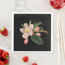 Flor de Rosa Vintage
