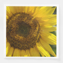 Girassol Amarelo