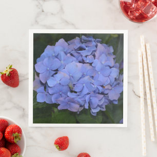 Guardanapo De Papel De Jantar Hortênsia Rustica Roxa Hydrangea macrophylla