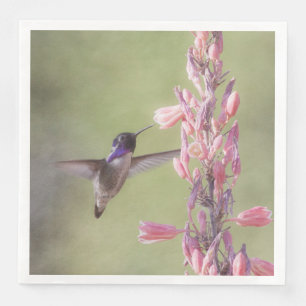 Guardanapo De Papel De Jantar Hummingbird de Costa charmoso