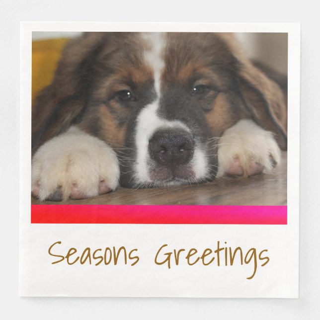 Guardanapo De Papel De Jantar Imagem Pet Photo (Frente)