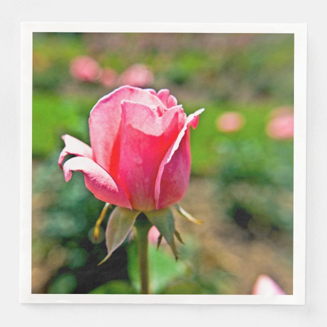 Guardanapo De Papel De Jantar Jardim de Rosas Rosa (Frente)