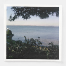 Guardanapo De Papel De Jantar Local