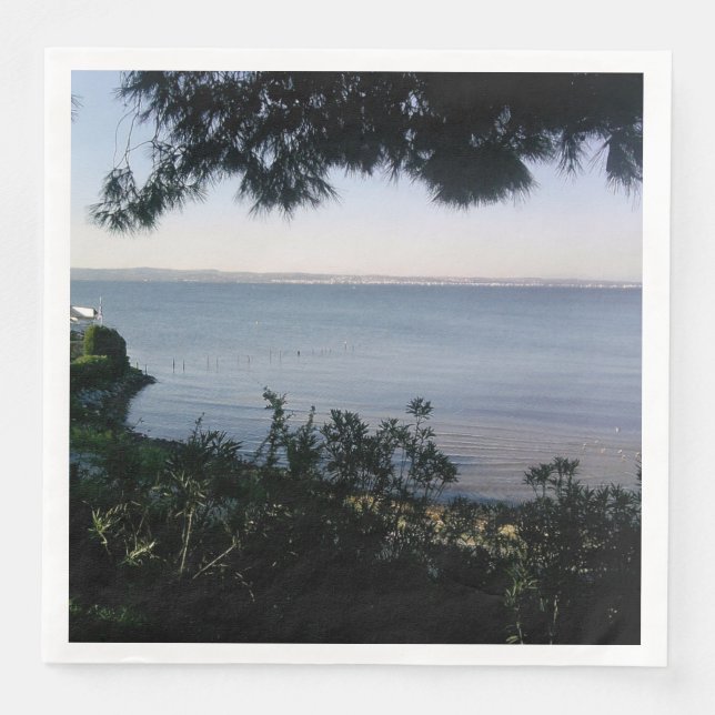 Guardanapo De Papel De Jantar Local (Frente)