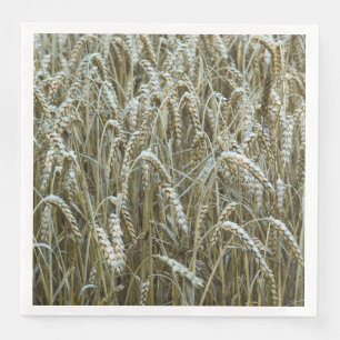 Guardanapo De Papel De Jantar Papel de Campos de Trigo