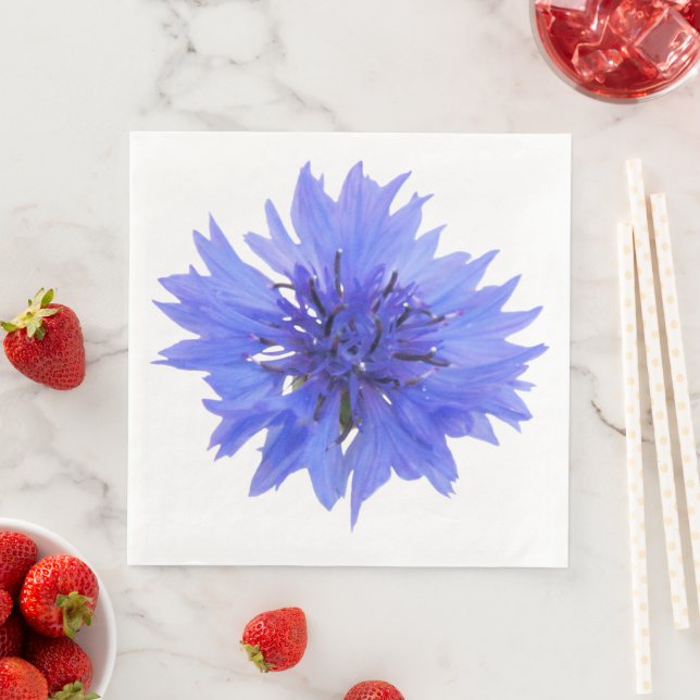 Guardanapo De Papel De Jantar Papel Napkin com espinhel azul (Insitu)