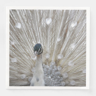 Guardanapo De Papel De Jantar Pavão Albino Elegante