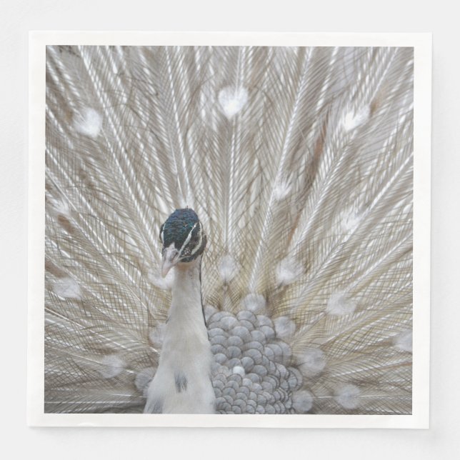 Guardanapo De Papel De Jantar Pavão Albino Elegante (Frente)