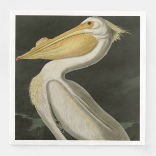 Guardanapo De Papel De Jantar Pelicano Branco Americano, Aves da América de Aud