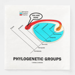 Guardanapo De Papel De Jantar Phylogenetic Groups (Mammalia) You Are Here