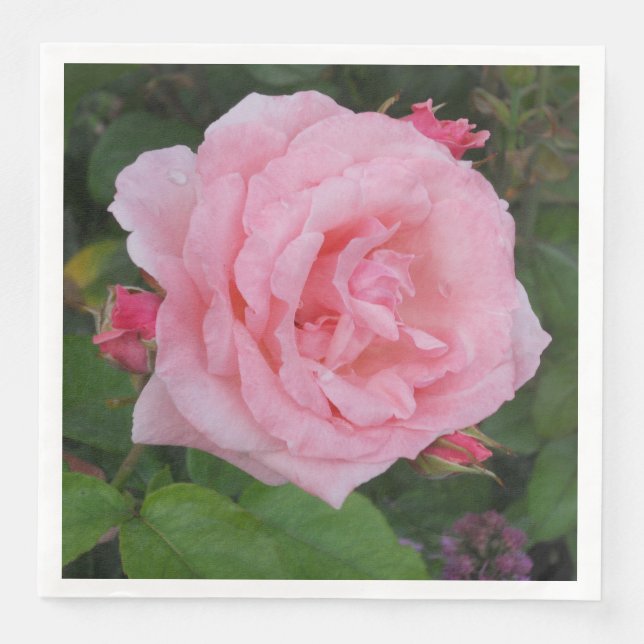 Guardanapo De Papel De Jantar Rosa Rosa Clássica (Frente)