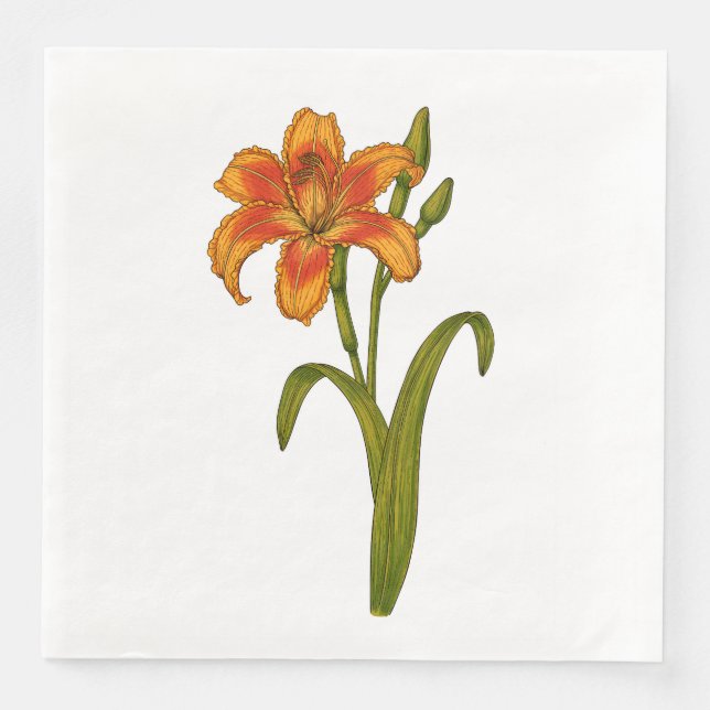 Guardanapo De Papel De Jantar Tawny Daylily (Frente)