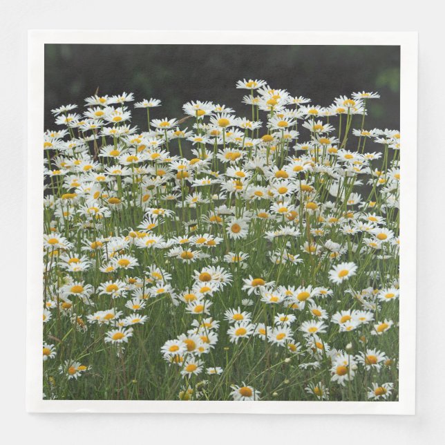 Guardanapo De Papel De Jantar White Daisies Napkins (Frente)
