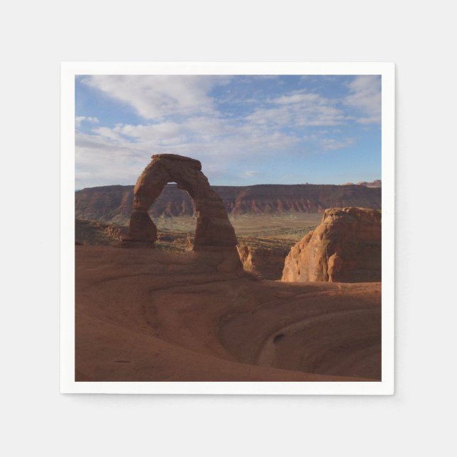 Guardanapo De Papel Delicate Arch II no Parque Nacional Arches (Frente)