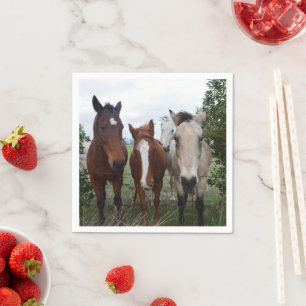Guardanapo De Papel Deliciosos problemas com cavalos, papel Nápoles