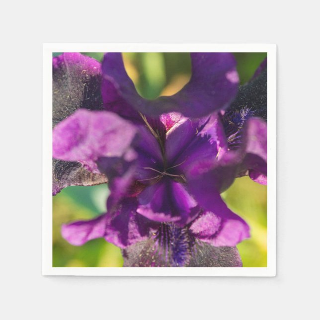 Guardanapo De Papel Dentro de uma Íris (Frente)