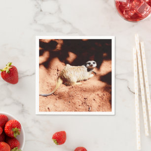 Guardanapo De Papel Descobertas empoeiradas: Meerkat com saia no seu n