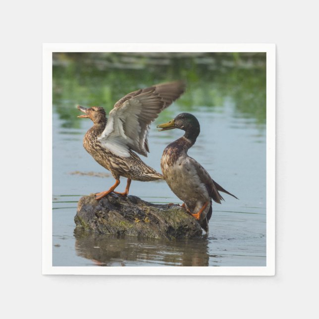 Guardanapo De Papel Desculpe-me (Frente)