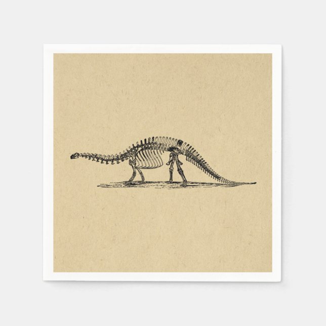 Guardanapo De Papel Dinossaur Skeleton Vintage Art (Frente)