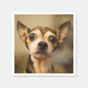 Guardanapo de papel do cão bonito & engraçado da