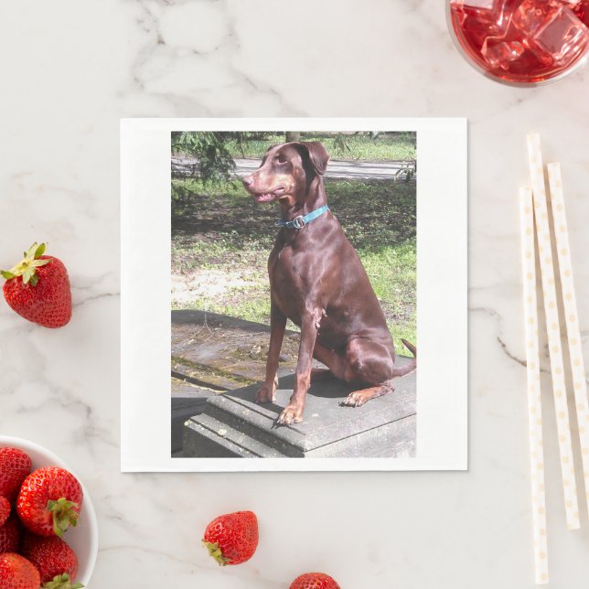 Guardanapo De Papel doberman vermelho (Insitu)