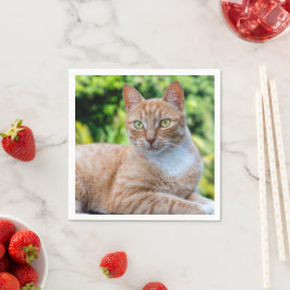 Guardanapo De Papel Doce gatinho