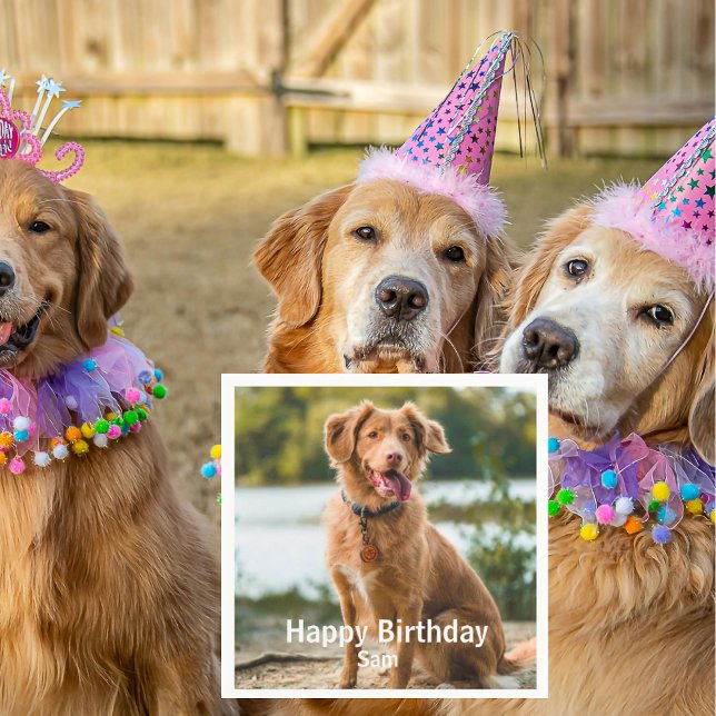 Guardanapo De Papel Dog Photo Personalized Birthday Cocktail (Criador carregado)