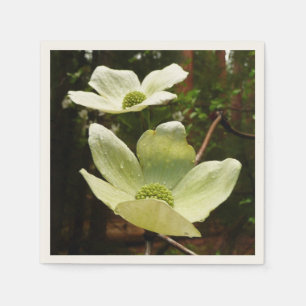 Guardanapo De Papel Dogwoods e sequóias vermelhas no parque nacional