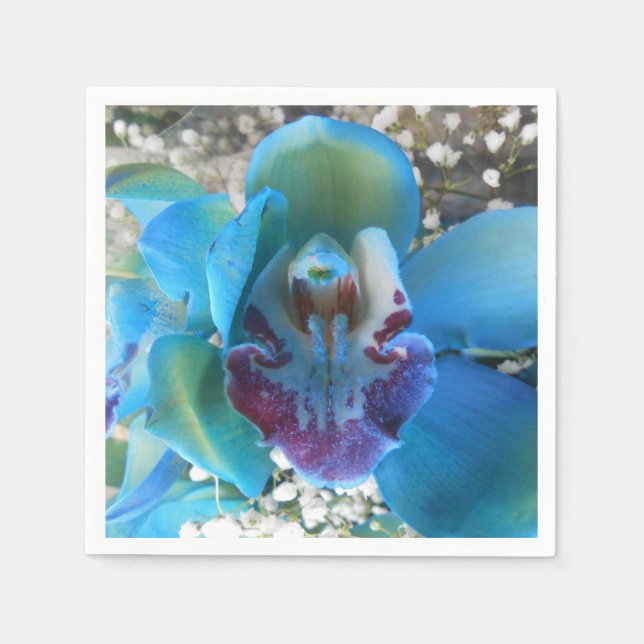 Guardanapo De Papel Donella (Frente)