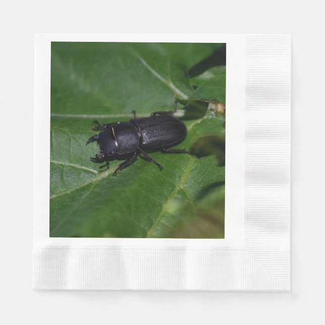 Guardanapo De Papel Dorcus parallelipipedus , o escaravelho inferior (Frente)