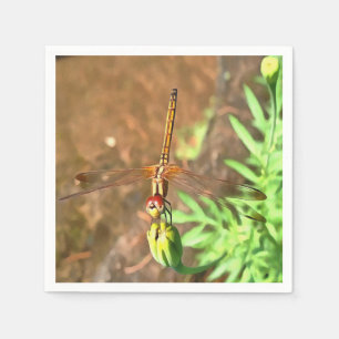 Guardanapo De Papel Dragonfly Artística Descendo Sobre Uma Cabeça De