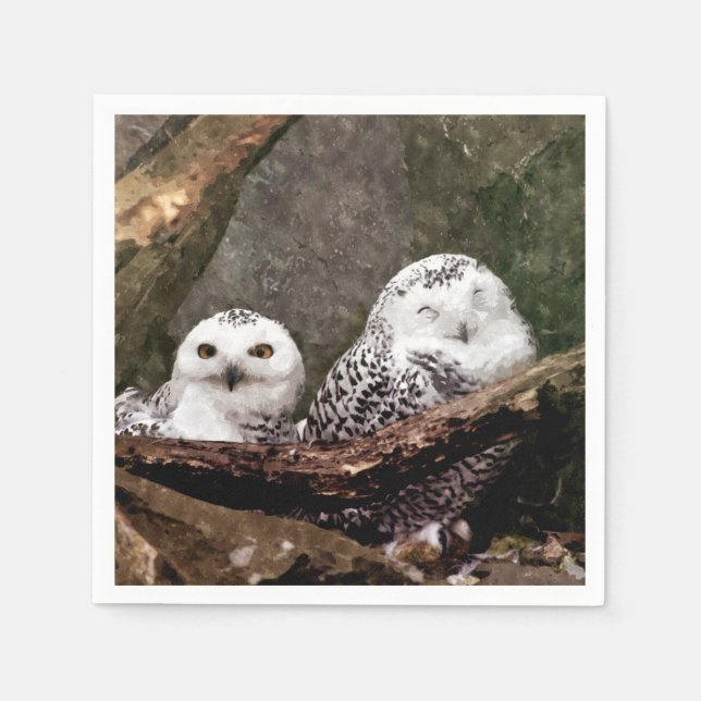 Guardanapo De Papel Duas Corujas (Frente)