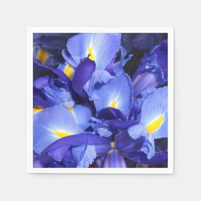 Guardanapo De Papel Ermengarde (Frente)