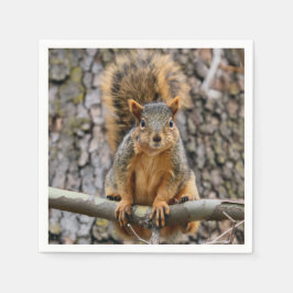 Guardanapo De Papel Escada de raposa