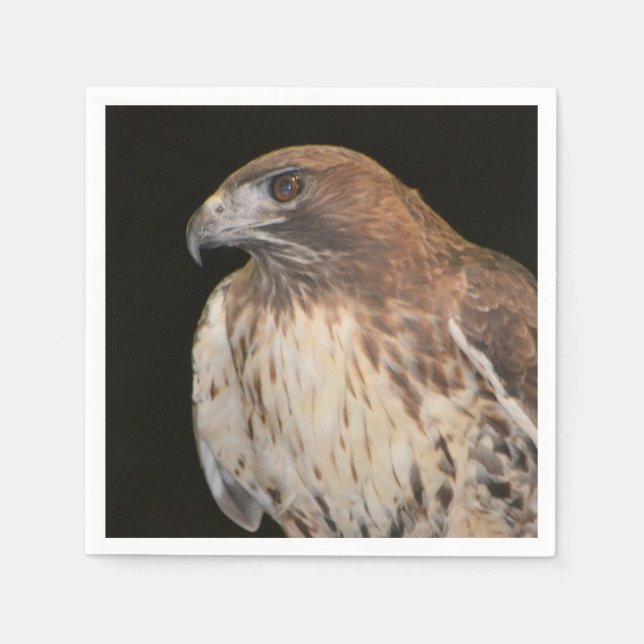 Guardanapo De Papel Espírito Do Hawk (Frente)