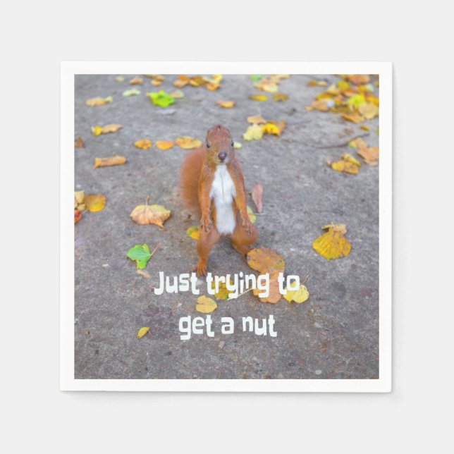 Guardanapo De Papel esquilo só tentando pegar um maluco (Frente)