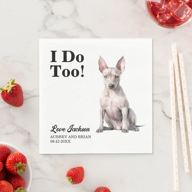 Guardanapo De Papel Eu Faço Casamento De Terrier Sem Cabelo Americano (Insitu)