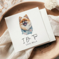 Eu Também! Casamento Pet De Cães Pomeranianos