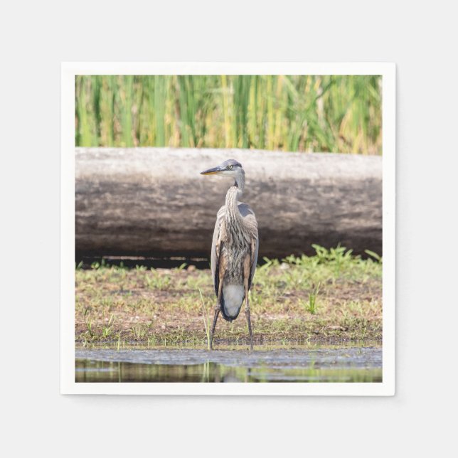 Guardanapo De Papel Excelente Blue Heron em pé no lago Champlain (Frente)