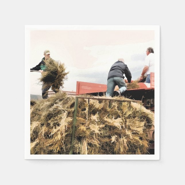 GUARDANAPO DE PAPEL EXPLORAÇÃO (Frente)