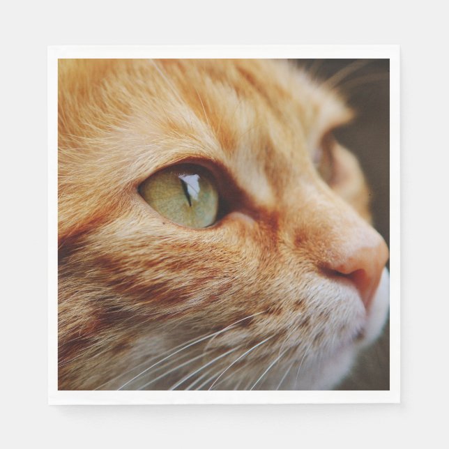 Guardanapo De Papel Face determinada de um gengibre (Frente)