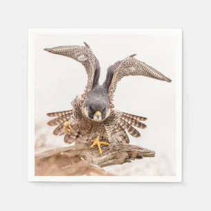 Guardanapo De Papel Falcão de peregrino