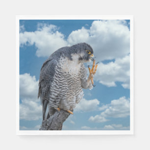Guardanapo De Papel Falcão Peregrine ao longo do rio Hudson